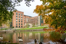 new-river-hall-header-ducks.jpg